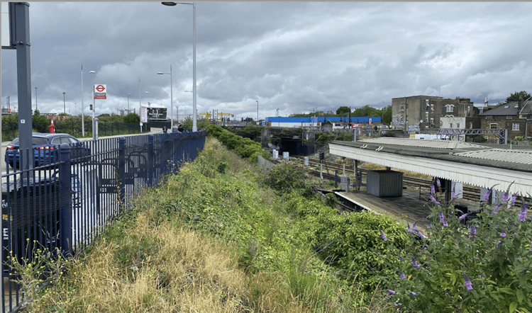 Willesden proposal supporting information 1